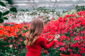 Naklejka premium The girl is holding a blooming azalea