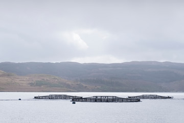 Fish farm nets at sea coast for salmon and trout in Argyll Scotland