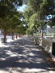 ラスベガス・早朝の散歩