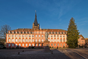 Fototapeta na wymiar Blick auf Schloss Erbach in Erbach im Odenwald in Hessen, Deutschland 