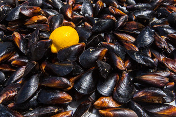 Cooked  fried mussels with lemon. Street seefood