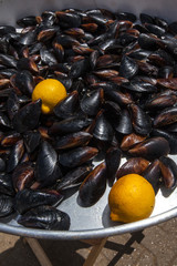 Cooked  fried mussels with lemon. Street seefood