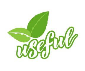 Eco logos, badges of useful vegetarian labels with icon, lettering.