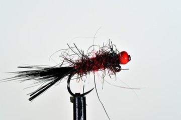 Black and red Leech fly imitation
