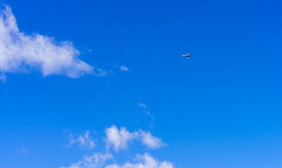 spring landscapes in the forest and on the river