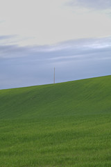 green field and grey sky,crop,hill,agriculture,cereals,rural,countryside,view,landscape,spring