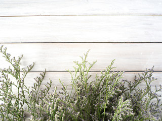 purple limonium flowers on white wooden background