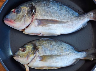 two fresh whole dorado fish lie in a frying pan
