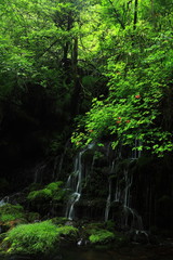 夏の滝