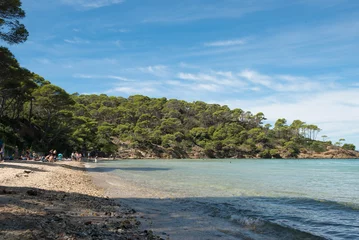 Foto op Canvas Paradisiacal beach of Notre Dame, island of Porquerolles,  in the south of France. © acongar