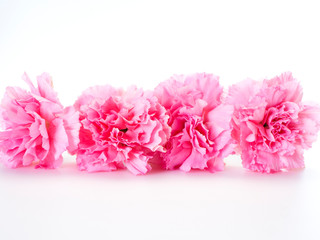 Fototapeta na wymiar Pink carnations flower for Mother's day