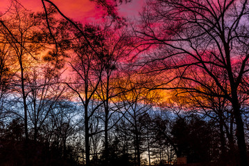 Fototapeta premium Colorful sunset with silhouettes of trees