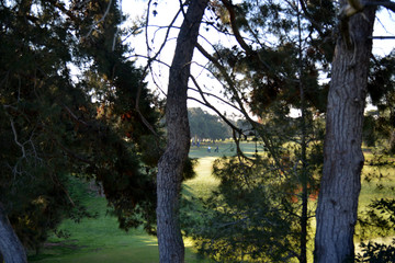 Young Golf player golf background