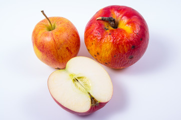 Fresh and old apple isolated on white background.