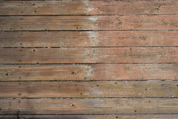 Obraz premium wood texture background