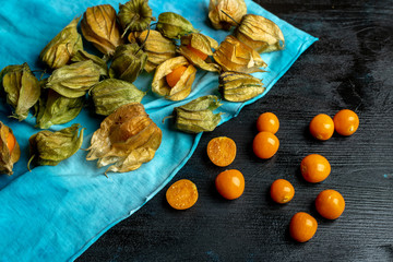 sweet, orange fruit and physalis flowers