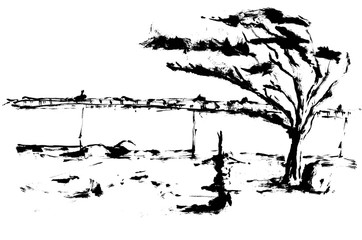 石庭ハイコントラスト