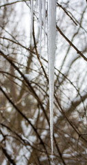 Photo of transparent icicles on blurred background