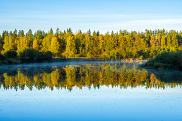 Mist over the river on a chilly autumn morning and forest on its bank with yellow colors of the leaves lit by the rising sun. Trees reflected in the water