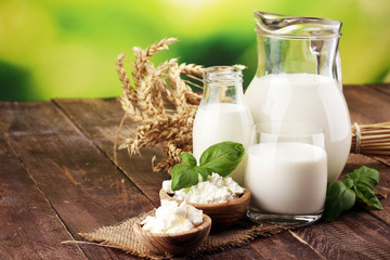 milk products. tasty healthy dairy products on a table. sour cream in a white bowl, cottage cheese...