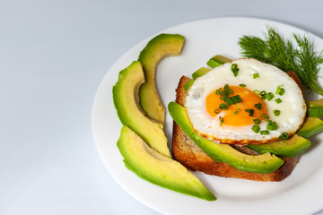 On the plate is a fried egg. Food for all