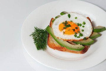 On the plate is a fried egg. Food for all