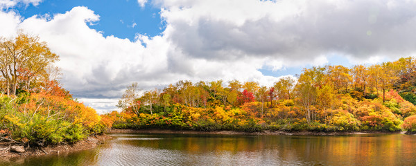 カラフルな大雪高原の秋