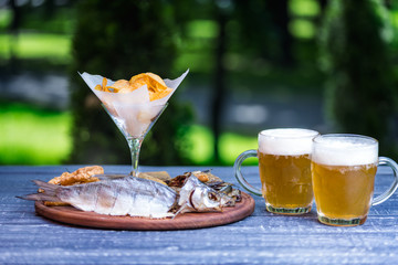 Snacks for beer and two mugs of beer. Salted, dried fish, squid rings and potato chips, on the cutting board and green summer background