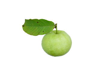 Fresh Green guava isolated on a white background 
