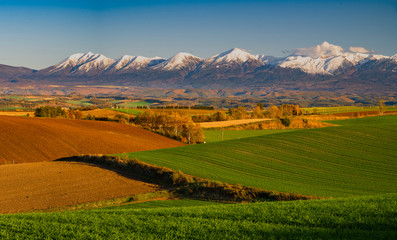 うねる丘の秋　美しい美瑛の丘の秋と十勝連邦