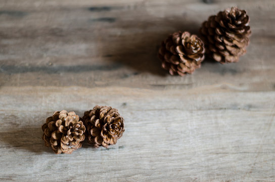 pine cones on wood background 