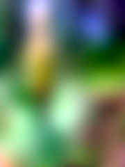 blur contrast color background texture concept abstract design pattern 