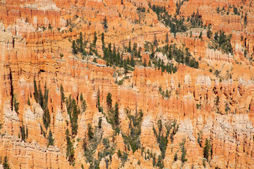 Bryce canyon