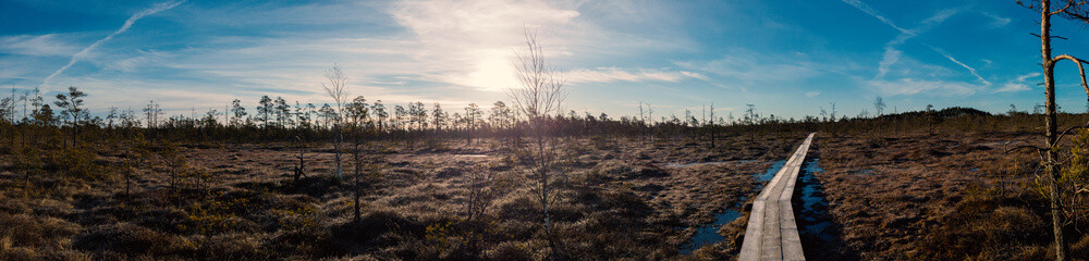 wooden road in swamp in the morning