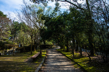早春の公園の小路