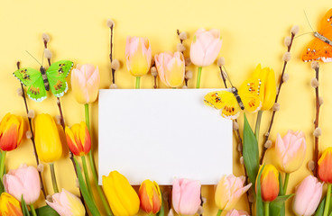Flowers composition with tulips and branch of pussy willow on yellow background.