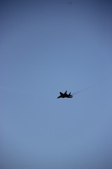 flug show berlin ila  © TIGERRAW