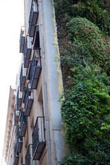 Obraz premium Caixa Forum Madrid and the vertical garden of Patrick Blanc