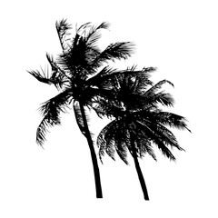 black silhouette coconut tree swayed by the wind, isolated natural plant sign, vector illustration