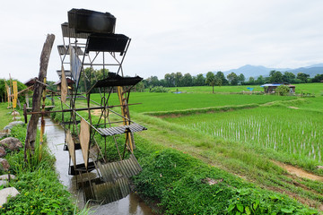 Turbine baler and rice field