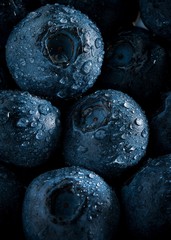 Macro picture of group of blueberries and dew drops background