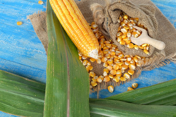 Grains of ripe corn on wooden background. Corn cob and green leaves on wooden background