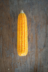 Grains of ripe corn on wooden background. Corn cob on wooden background