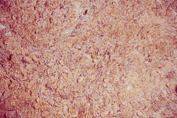 background stone shell