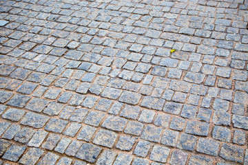 Stone paved texture of old street. Natural background.