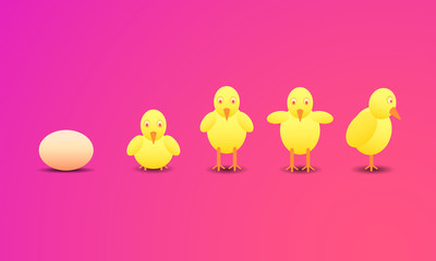 happy a easter day. chicken new born step from eggs to big cock hen. vector illustration eps10
