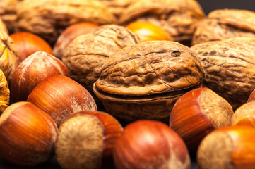 Walnüsse und Haselnüsse