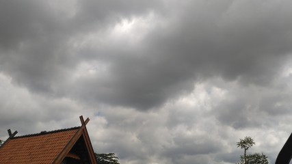 overcast sky in a cool garden