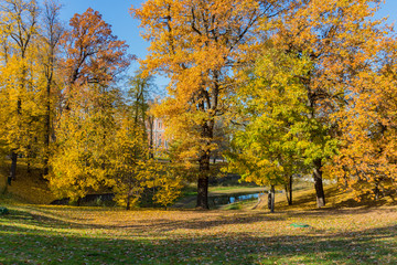 Autumn trees  in Tsaritsyno park