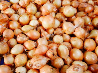 organic onion garlic in Myanmar market,Asia onion farm